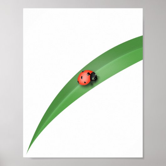 Ladybug Leaf Poster (Vorne)