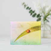 Ladybug Leaf Postkarte (Stehend Vorderseite)