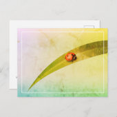 Ladybug Leaf Postkarte (Vorne/Hinten)