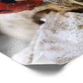 Ladybug Leben im Garten Fotodruck (Ecke)