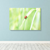 Ladybug Leinwanddruck (Insitu (Holzboden))