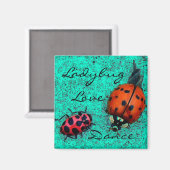 LADYBUG LIEBE DANCE MAGNET (Vorderseite/Rückseite)