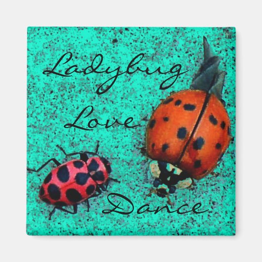 LADYBUG LIEBE DANCE MAGNET (Vorne)