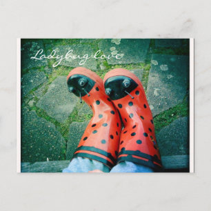 Ladybug-Liebe Postkarte