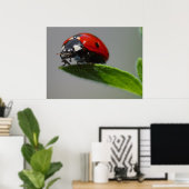 Ladybug Liebhaber Geschenke Poster (Heimbüro)