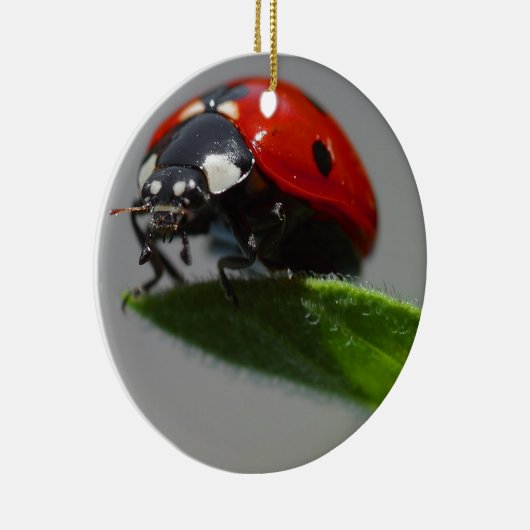 Ladybug Lovers Art Keramikornament (Rechts)