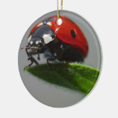 Ladybug Lovers Art Keramikornament (Links)