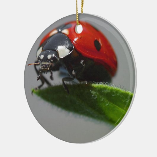 Ladybug Lovers Art Keramikornament (Links)