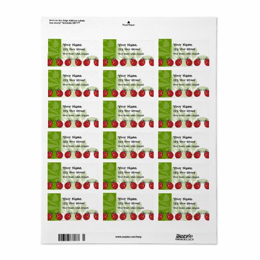 Ladybug Luck Adressaufkleber (Vorne)