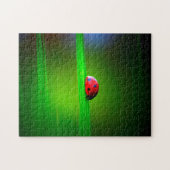 Ladybug Macro farbenfroh, Jigsaw Puzzle (Horizontal)