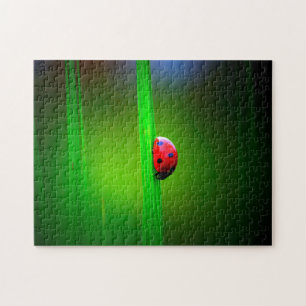 Ladybug Macro farbenfroh, Jigsaw Puzzle