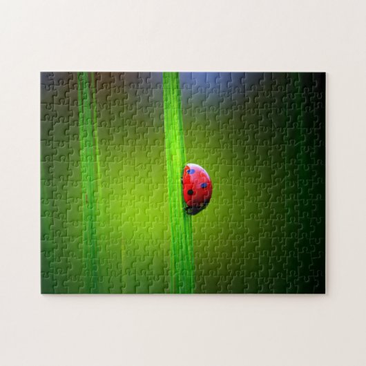 Ladybug Macro farbenfroh, Jigsaw Puzzle (Horizontal)