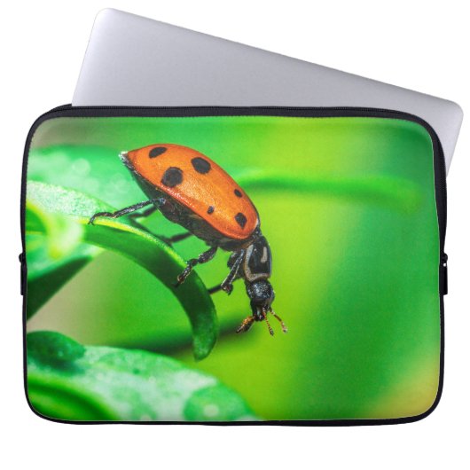 Ladybug Macro Laptop Sleeve | Nature Tech Pouch (Vorderseite)