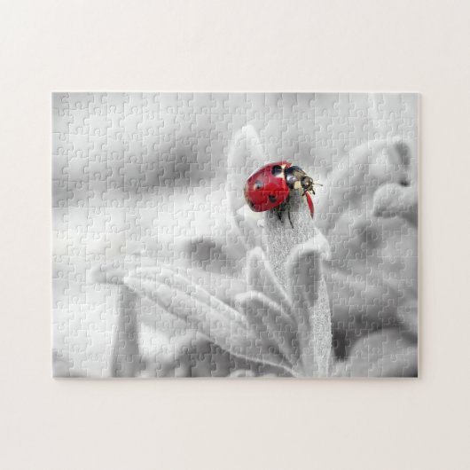 Ladybug Macro Monochrome, Jigsaw Puzzle (Horizontal)