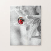 Ladybug Macro Monochrome, Jigsaw Puzzle (Vertikal)