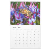 Ladybug Macro Nature Art Photography Calendar 2026 Kalender (Jan 2026)