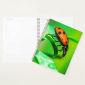 Ladybug Macro Planner Nature-Inspired Daily Notes Planer (Anzeige)