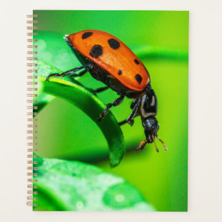 Ladybug Macro Planner Nature-Inspired Daily Notes Planer