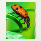 Ladybug Macro Planner Nature-Inspired Daily Notes Planer (Rückseite)