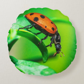 Ladybug Macro Round Throw Pillow Nature Decor Rundes Kissen