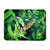 Ladybug Magnet (Horizontal)