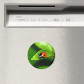 Ladybug Magnet (In Situ (Geschirrspüler))