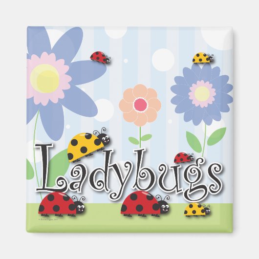 Ladybug Magnet (Vorne)