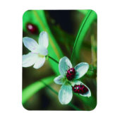 Ladybug Magnet (Vertikal)