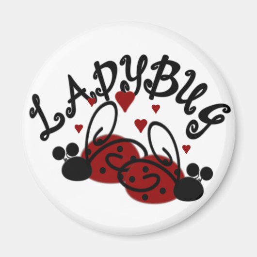 Ladybug Magnet (Vorne)