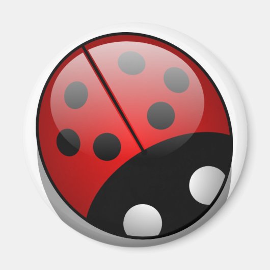 Ladybug Magnet (Vorne)