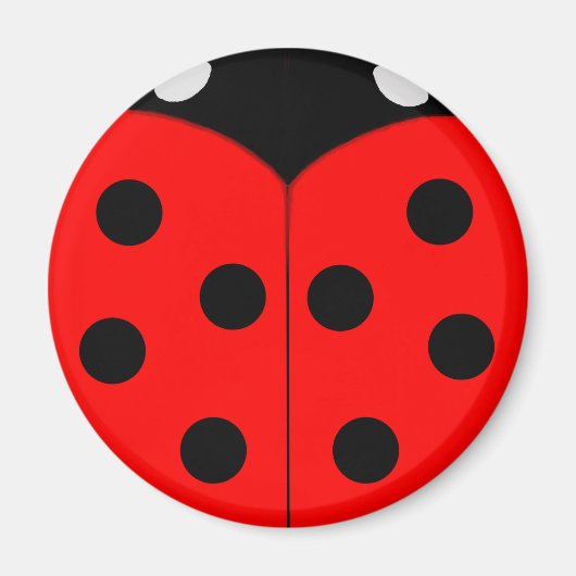 Ladybug Magnete Magnet (Vorne)