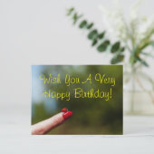 Ladybug mit Finger zum Geburtstagsgeschenk Postkarte (Stehend Vorderseite)