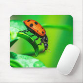 Ladybug Mouse Pad | Nature Desk Setup Mousepad (Mit Mouse)