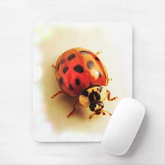 Ladybug Mousepad (Mit Mouse)