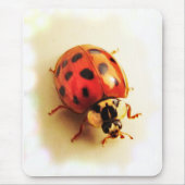 Ladybug Mousepad (Vorne)