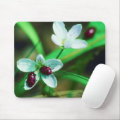Ladybug Mousepad (Mit Mouse)