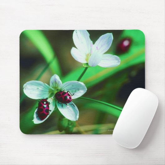 Ladybug Mousepad (Mit Mouse)