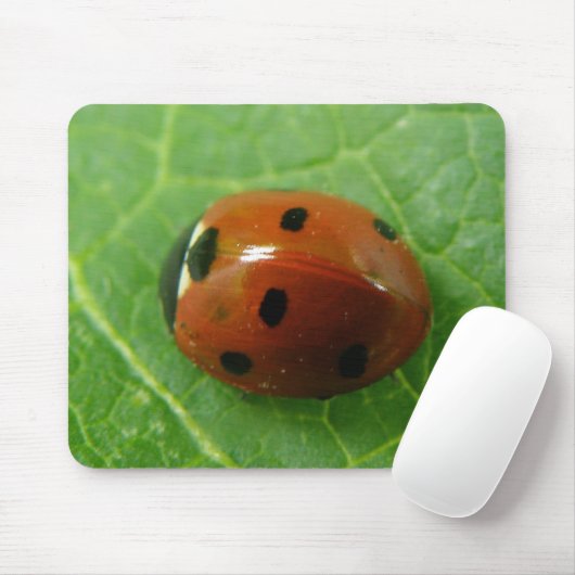 Ladybug Mousepad (Mit Mouse)