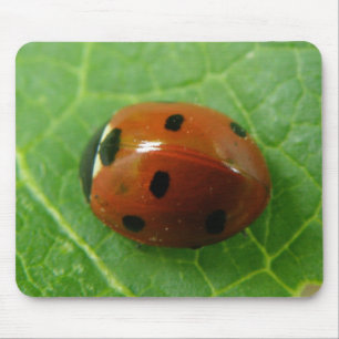 Ladybug Mousepad