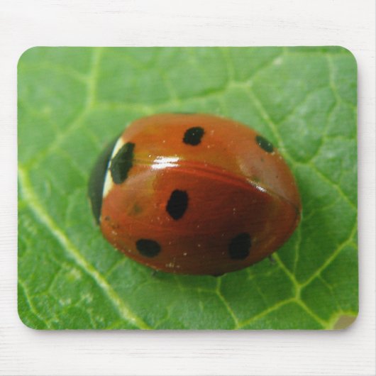 Ladybug Mousepad (Vorne)