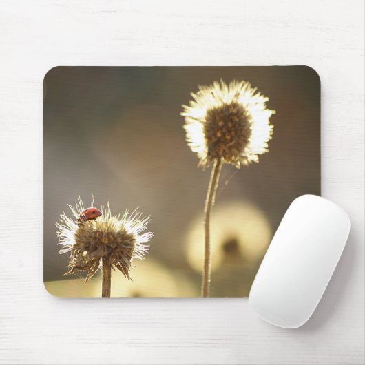 Ladybug Mousepad (Mit Mouse)
