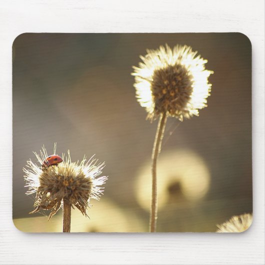 Ladybug Mousepad (Vorne)