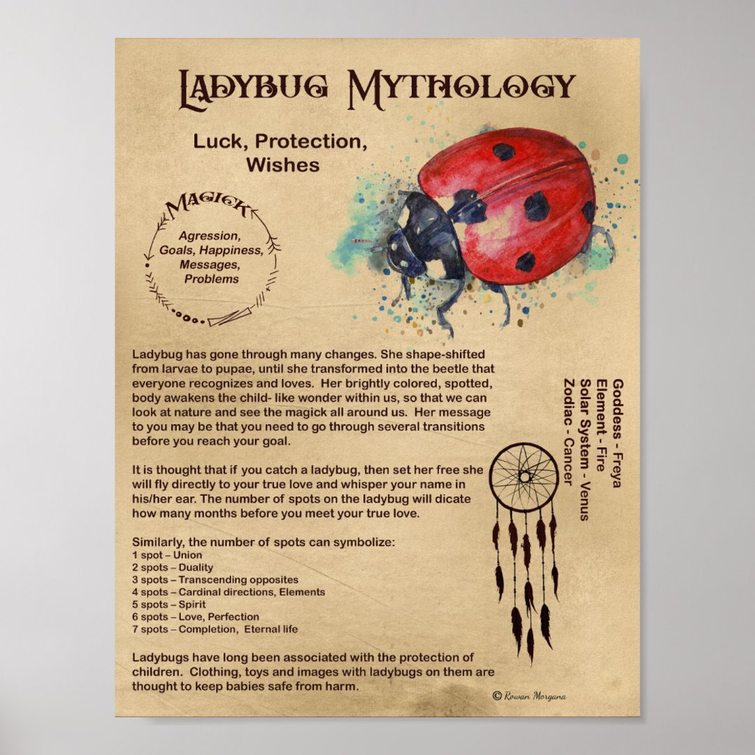 LADYBUG MYTHOLOGY POSTER Zazzle.de