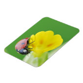 Ladybug-nahe Magnet (Linke Seite)