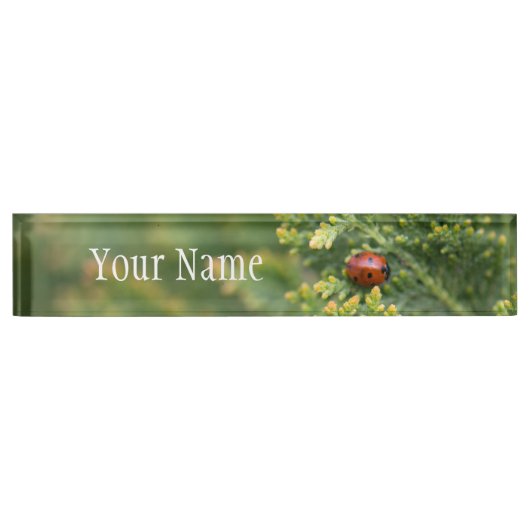 Ladybug Namensplakette (Vorderseite)