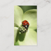 Ladybug Nature Fotografy Business Card Visitenkarte (Rückseite)
