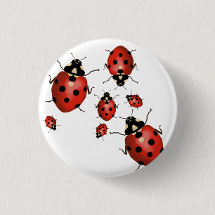Ladybug Niedlich handGezeichnet Rot und Schwarz Button