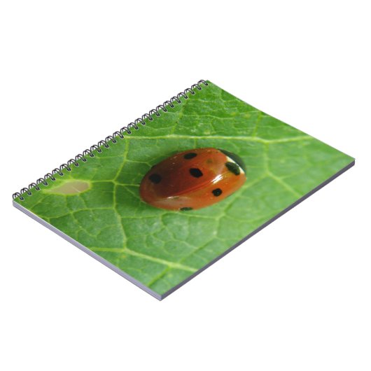 Ladybug-Notebook Notizblock (Linke Seite)