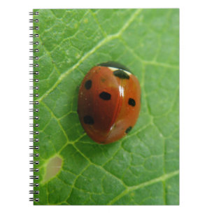 Ladybug-Notebook Notizblock