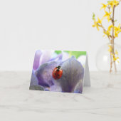 LadyBug Notecard Karte (Gelbe Blume)